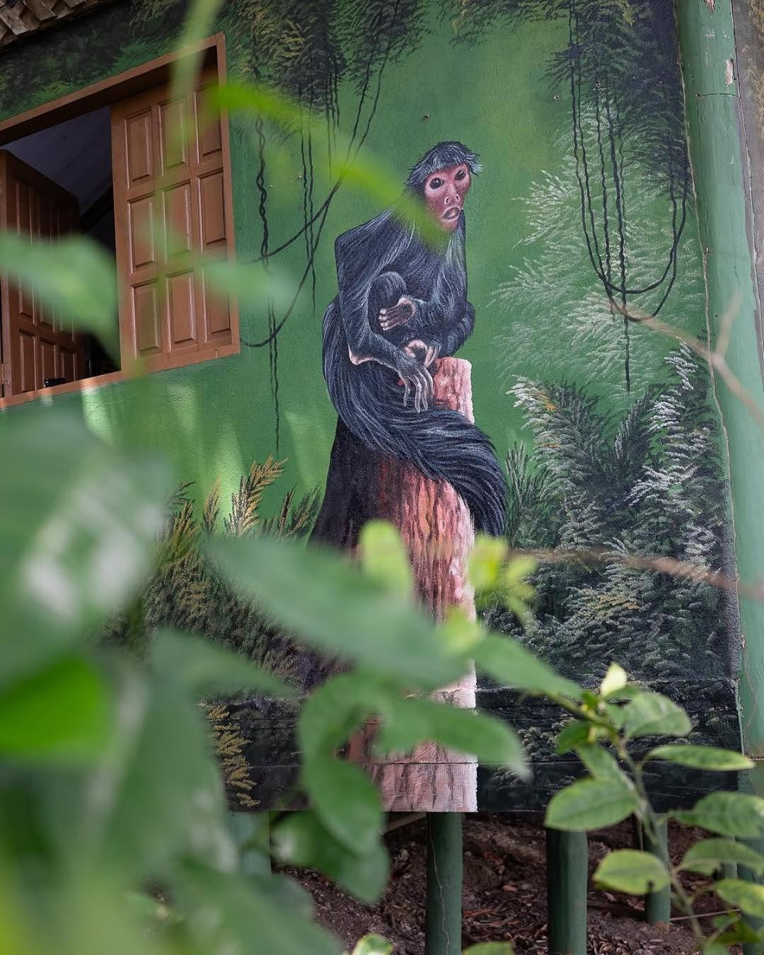 Evolucao Ecolodge Ирандуба Экстерьер фото